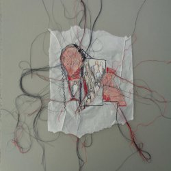 assemblage metisse x